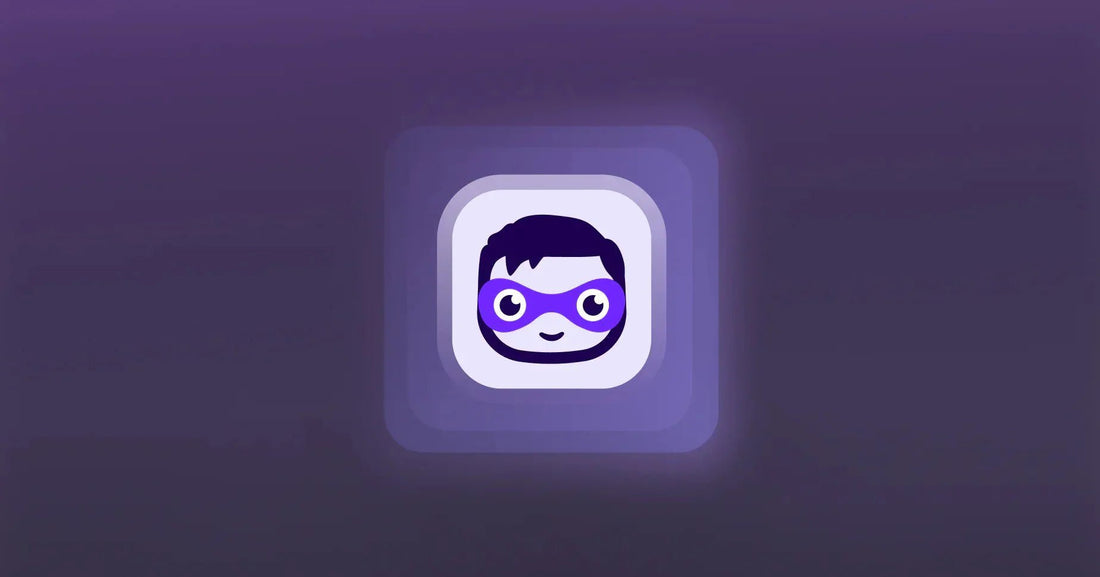 Shopify Sidekick: Your Co-Pilot